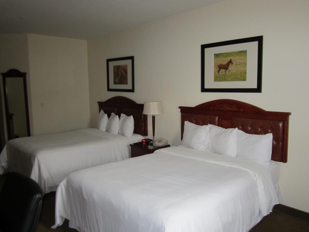 Trend Mountain Hotel & Conference Centre Tumbler Ridge Δωμάτιο φωτογραφία