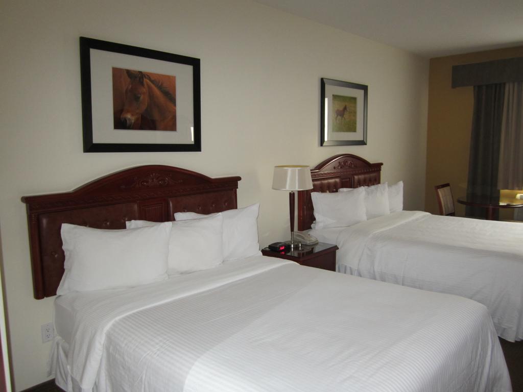 Trend Mountain Hotel & Conference Centre Tumbler Ridge Δωμάτιο φωτογραφία